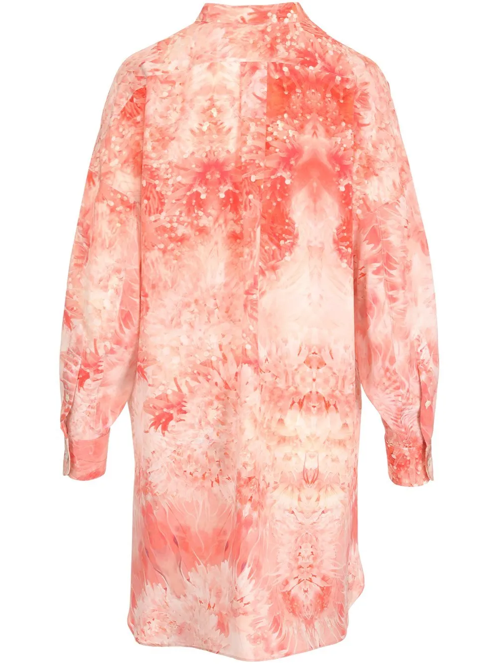 Alexander McQueen Printed Shirt Dress
